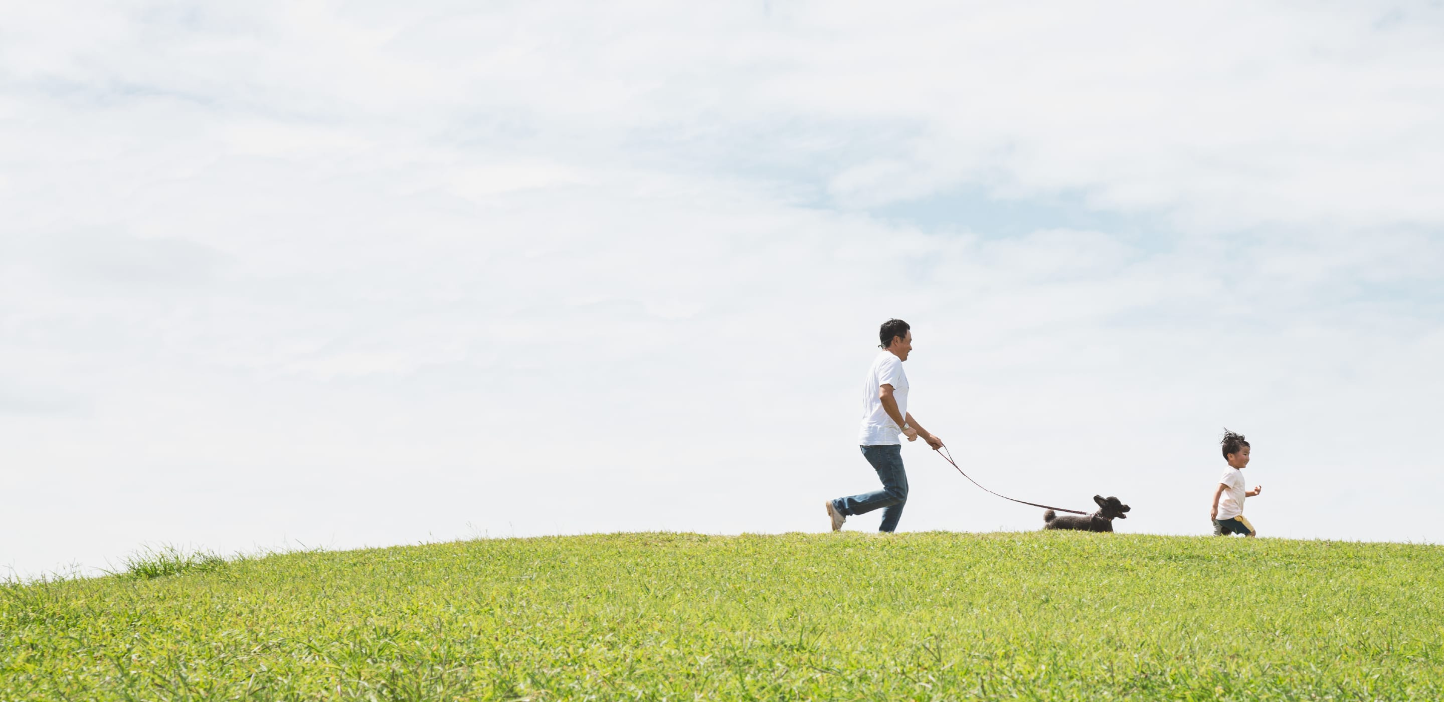 A family runs with their dog, covered by AAA Pet Wellness, on a grassy hill