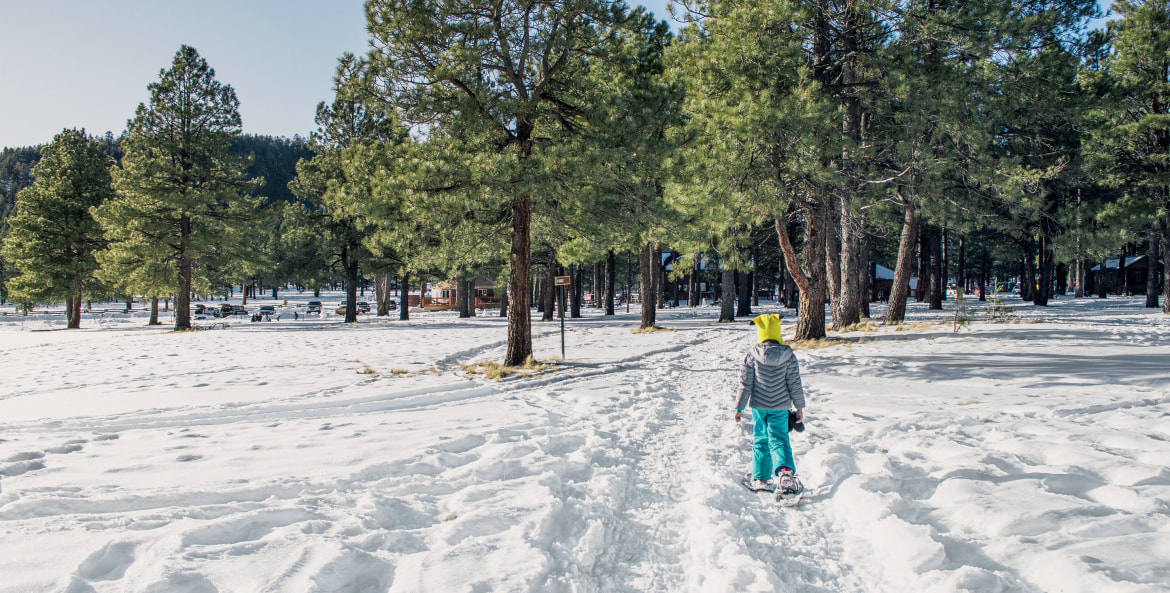 Snowshoe trail leads to heated yurts in Arizona’s Coconino National Forest, image