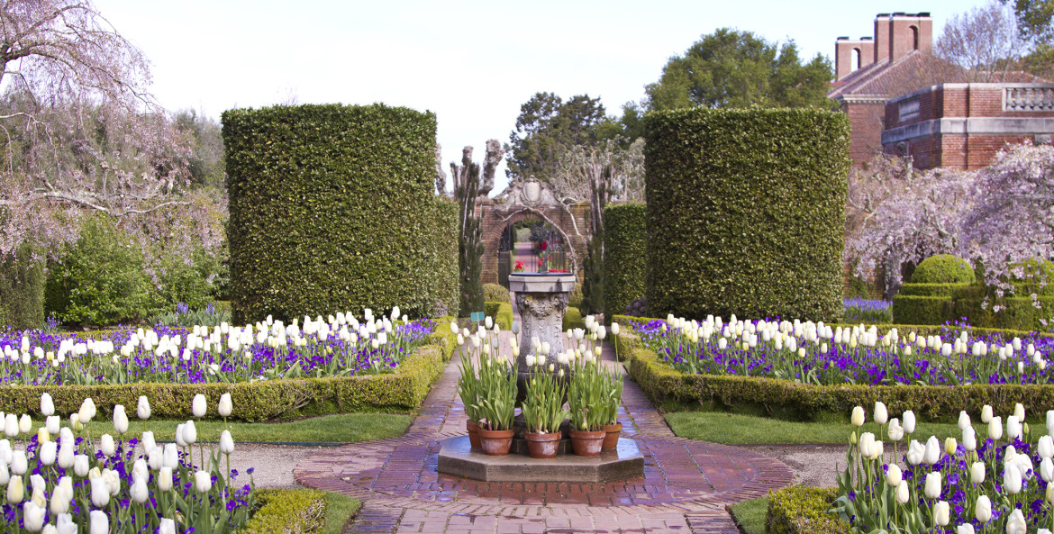 picture of spring flowers in bloom at Filoli Gardens in Woodside, California