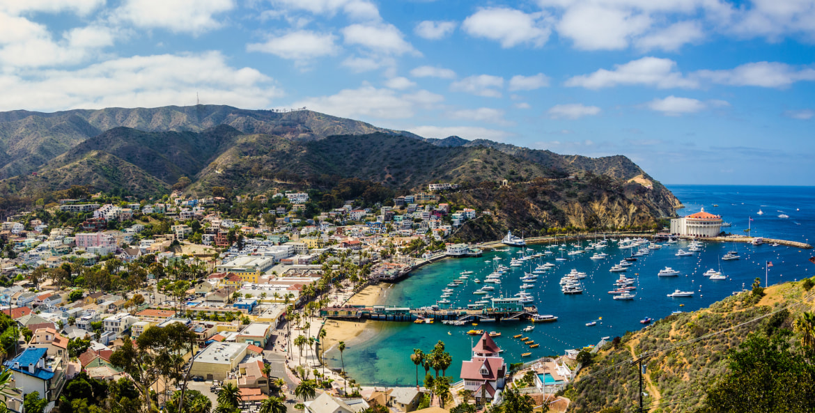 picture of Catalina Island of the coast of California from above
