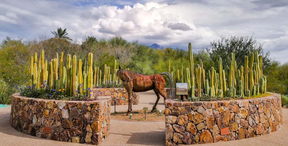 a sculpture of a horse at Tohono Chul Park in Tucson, picture