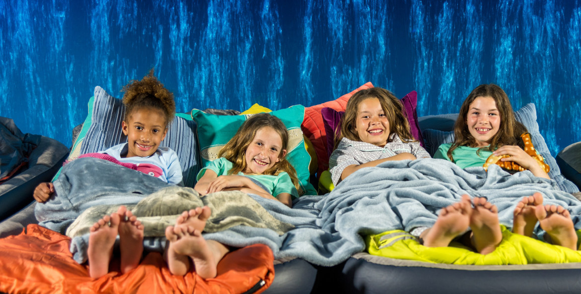Kids on air mattresses and sleeping bags at the Monterey Bay Aquarium overnight sleepover in Monterey, California, photo
