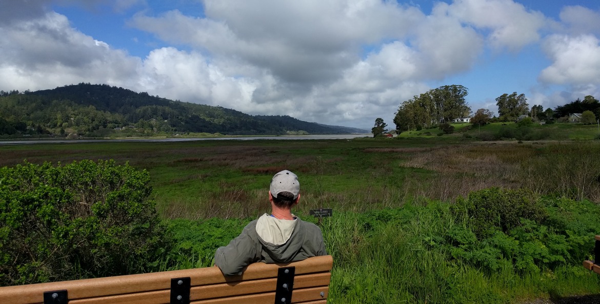 the view of Tomales Bay from the Giacomini Wetlands in West Marin, California, picture