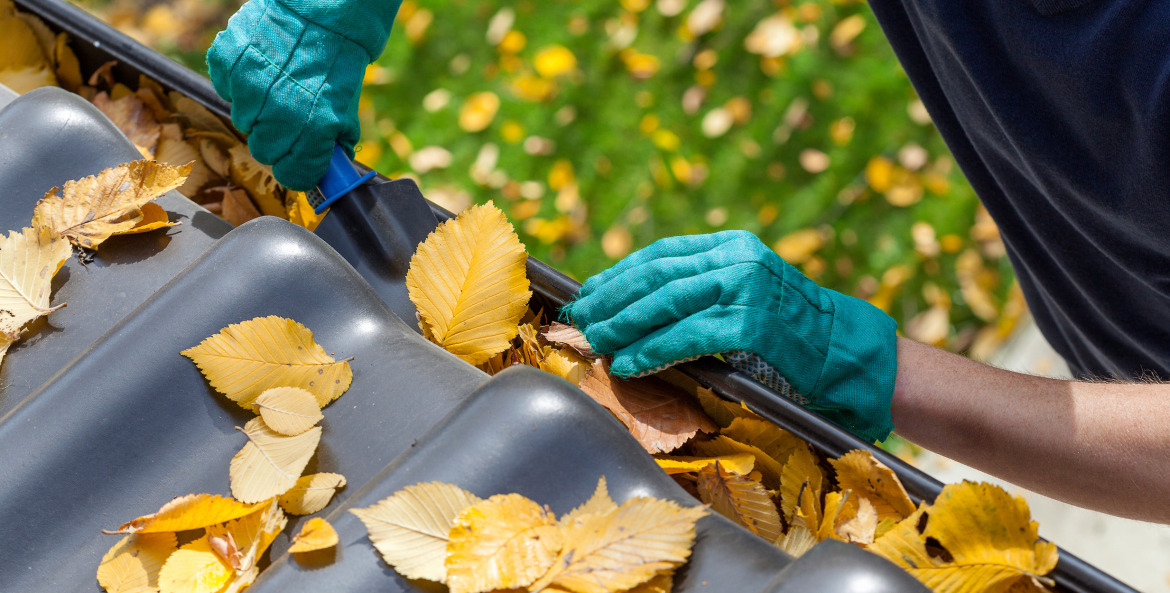 a man wearing gloves pulls orange leaves from a gutter