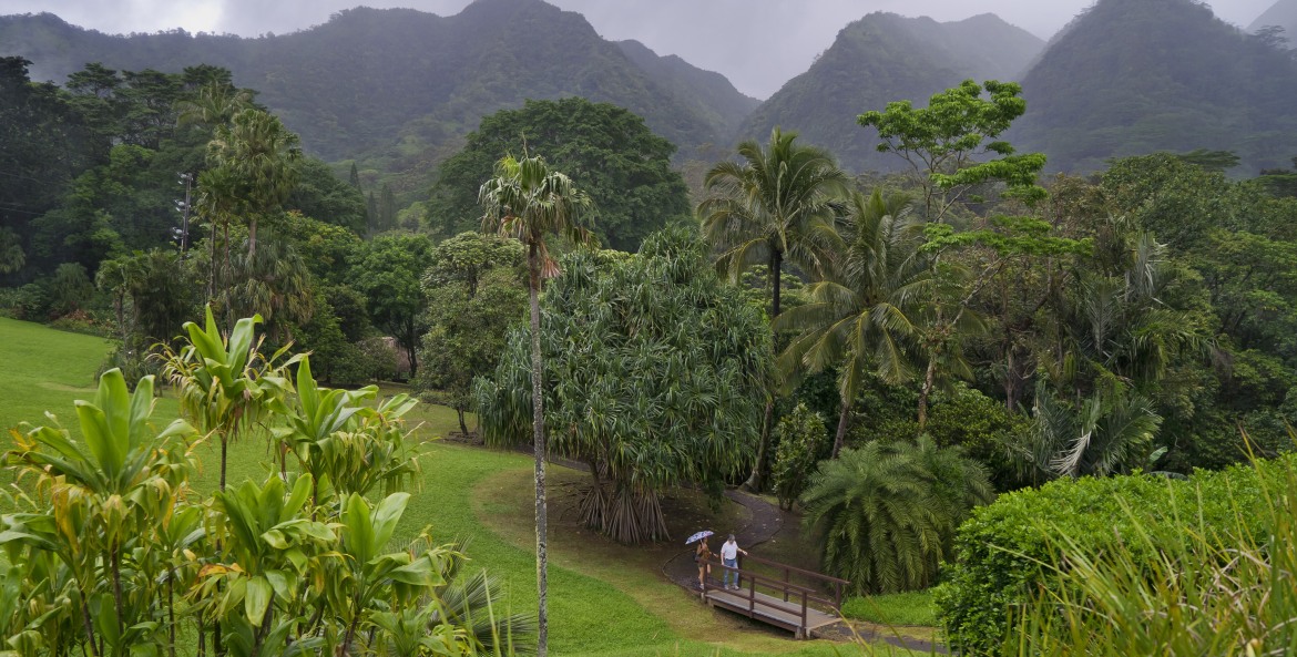 pair of visitors cross a small bridge through lush growth at Lyon Arboretum in Honolulu, Hawaii, picture