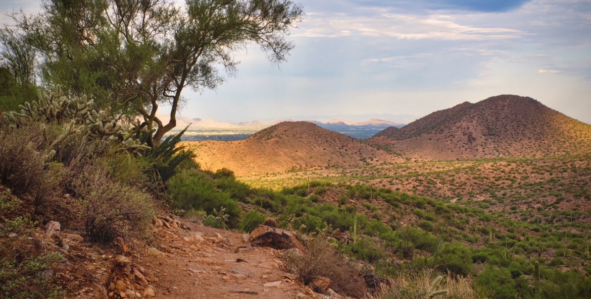 Sunrise Trail in McDowell Sonoran Preserve.