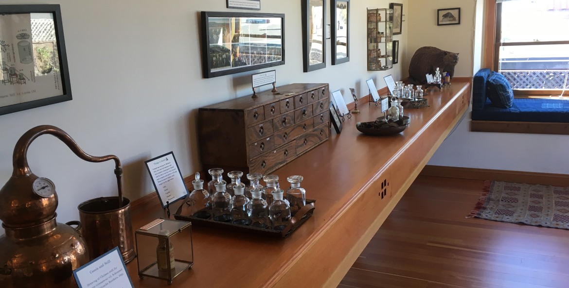 Perfume display at the Aftel Archive of Curious Scents, photo