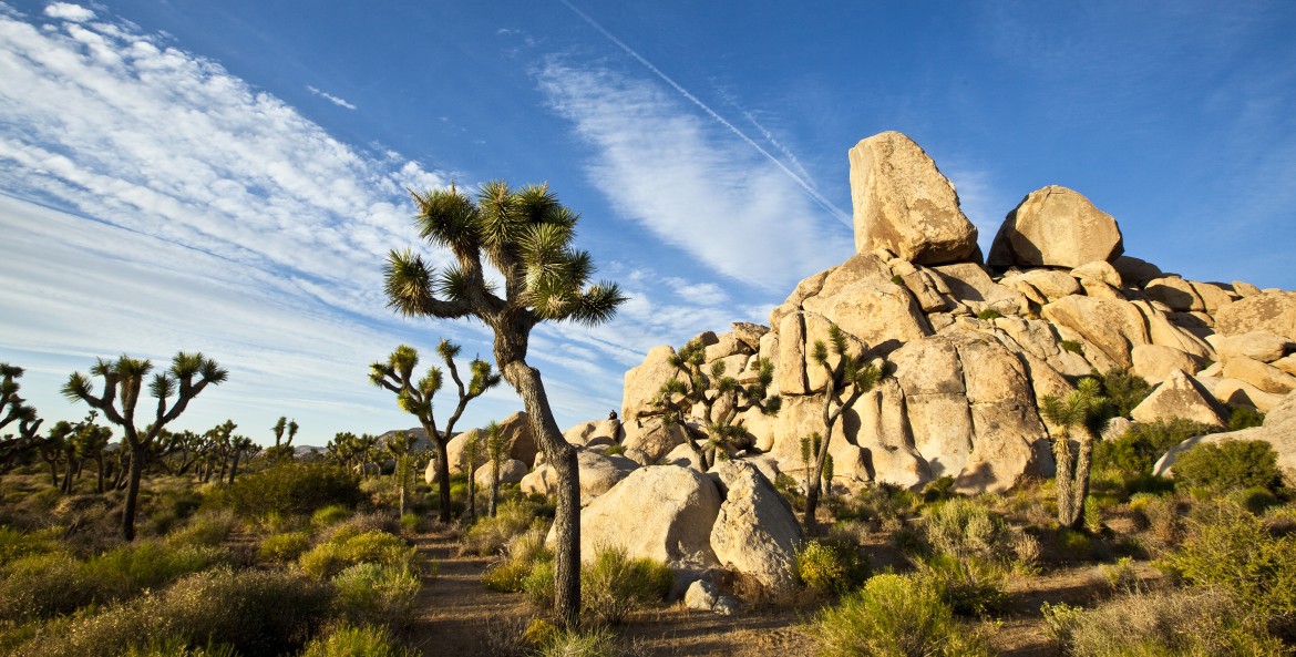 Joshua Tree National Park rocky landscape, California, image