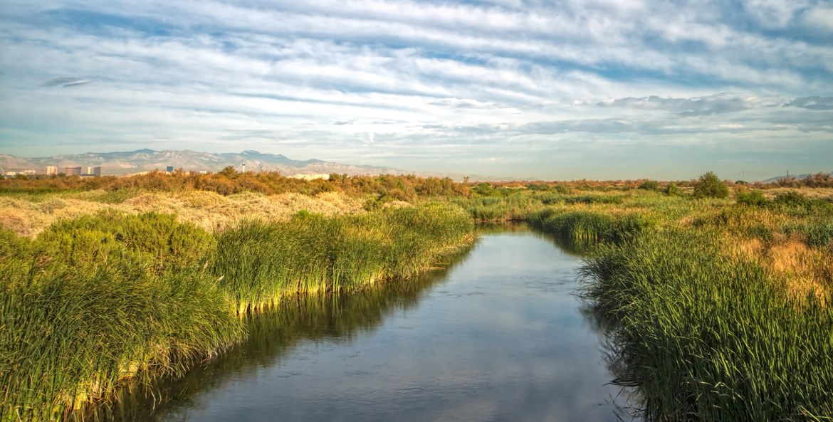 water cuts through grasslands just outside of Las Vegas in Clark County Wetlands Park, image