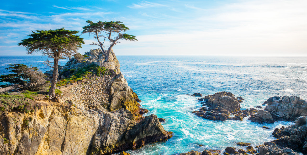 Lone cypress on 17-Mile Drive near Monterey and Pebble Beach, California, picture