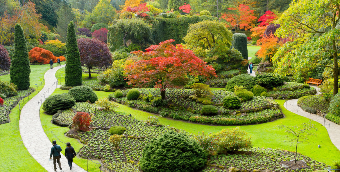 two people stroll the verdant Butchart Gardens in Victoria, B.C., picture