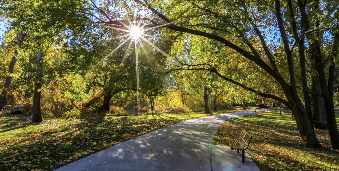 picture of a paved bike path in the Boise River Greenbelt
