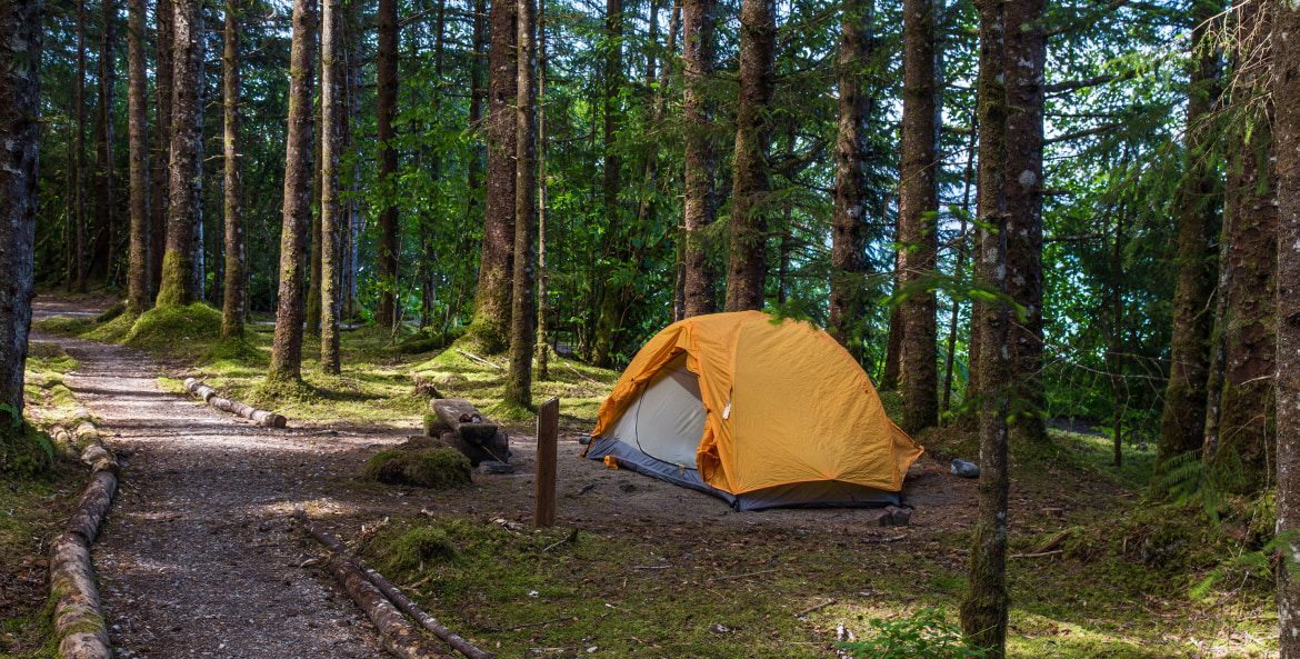 A tent set up in a campsite at Bartlett Cove Campground in Glacier Bay National Park in Alaska, image