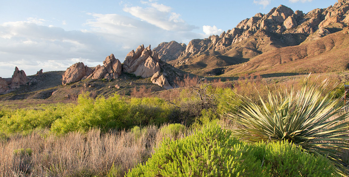 Organ Mountains rise above Dripping Springs Natural Area near Las Cruces, New Mexico