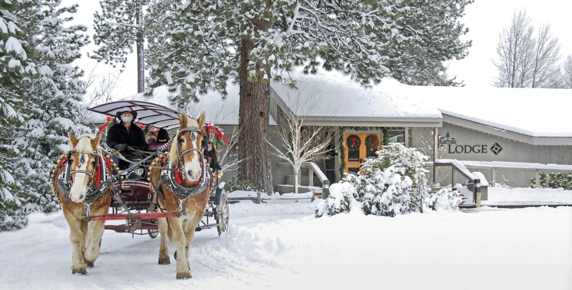 two horse team pull a carriage of sightseers on a snowy day at Black Butte Ranch in Sisters, Oregon