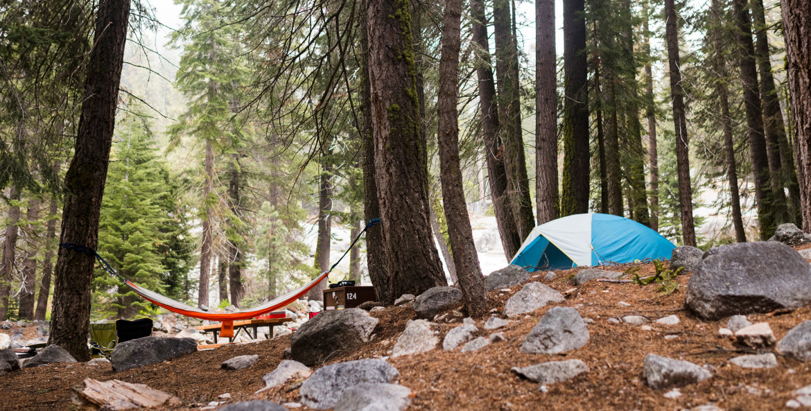 A tent and a hammock at a forest campsite in Kings Canyon National Park, California.
