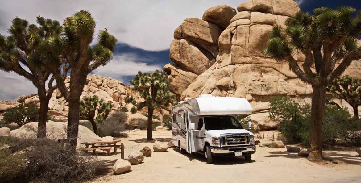 Camping in Joshua Tree National Park