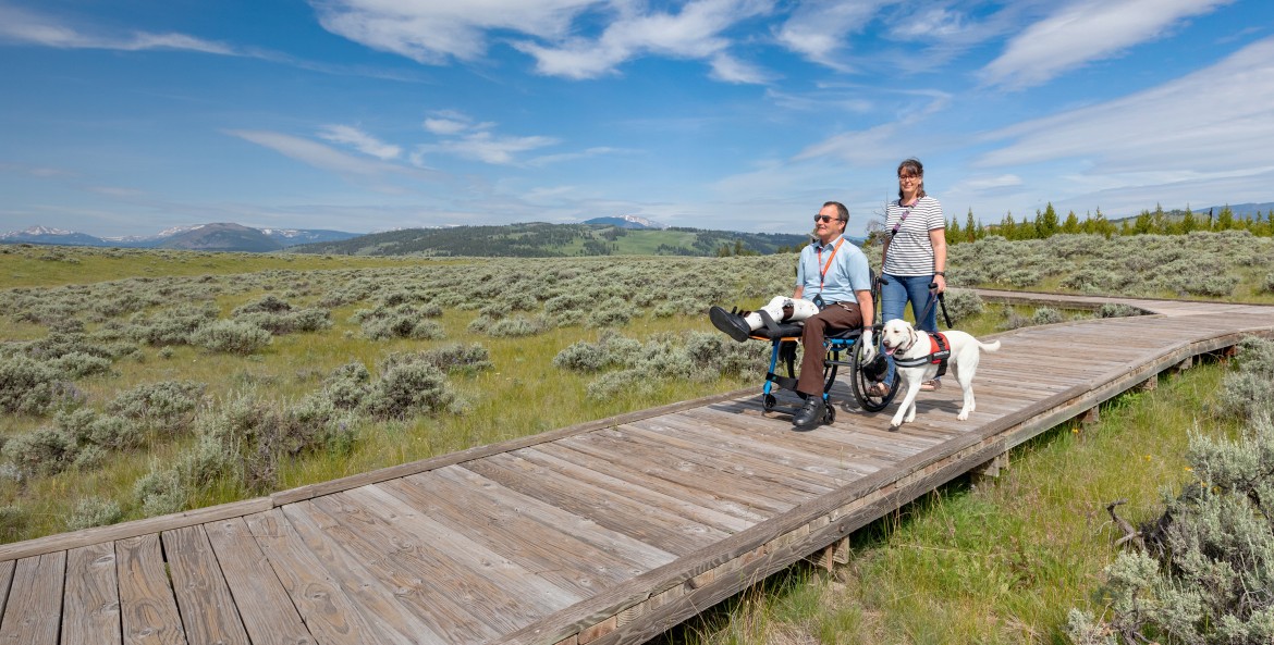A couple and their service dog hike on a boardwalk trail in Yellowstone National Park.
