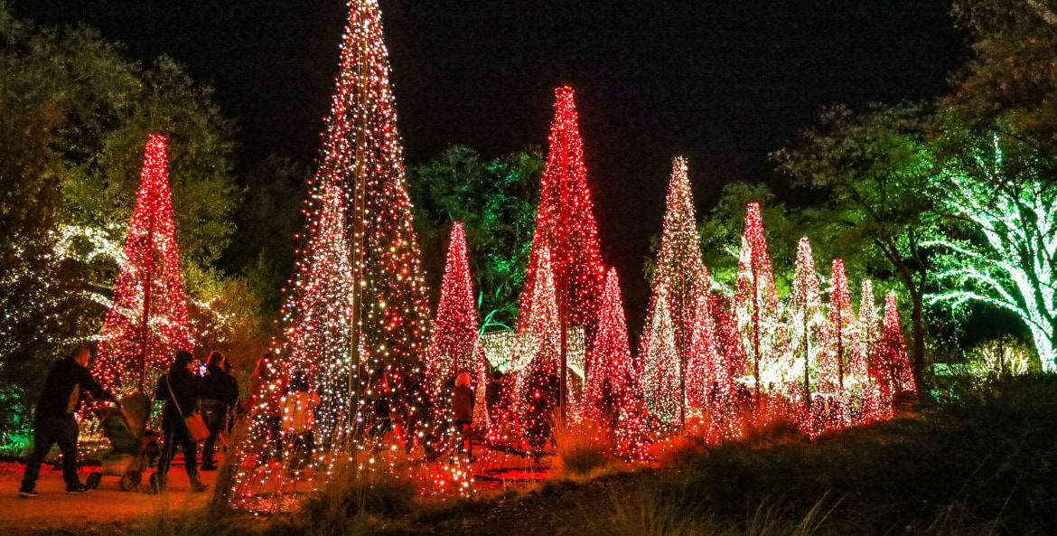 Christmas tree holiday light display at Redding Garden of Lights.