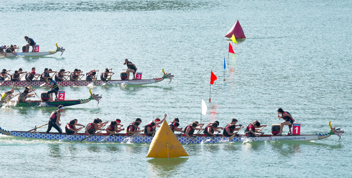 dragon boat race at the Northern California International Dragon Boat Festival in Oakland, California, picture