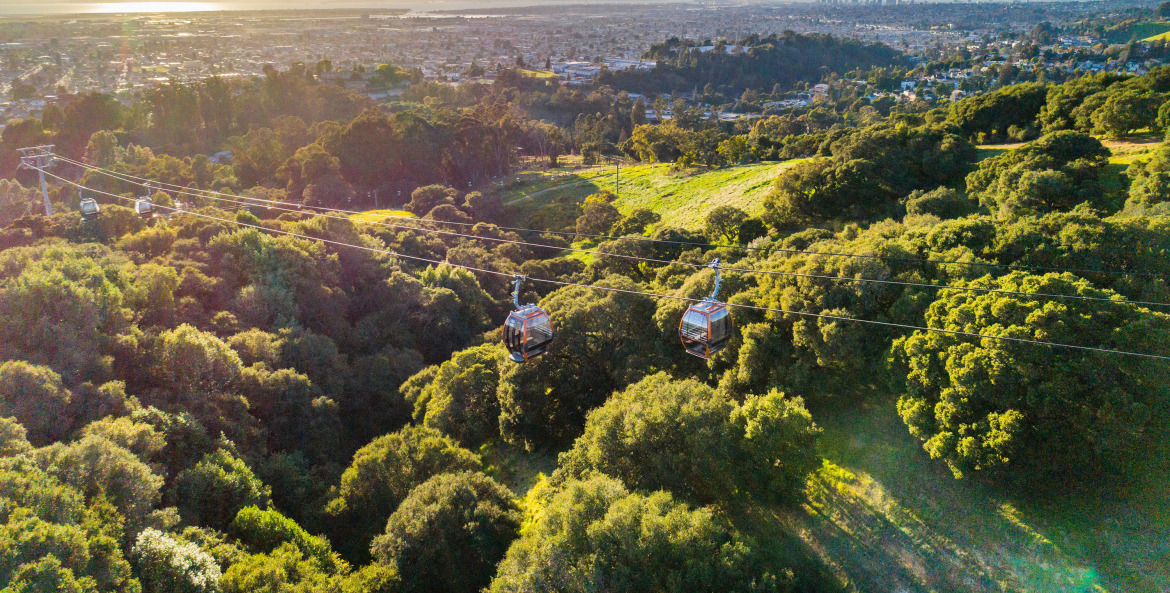 Oakland Zoo's Sky Ride stretches over the Oakland hills.