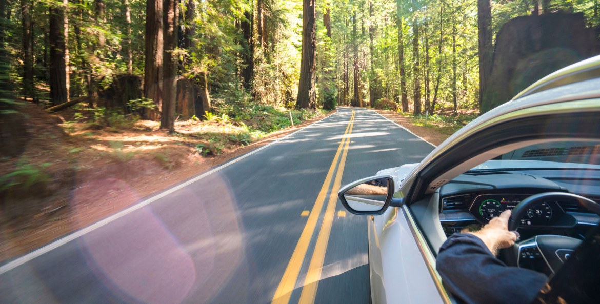 An EV drives down the Avenue of the Giants in California.