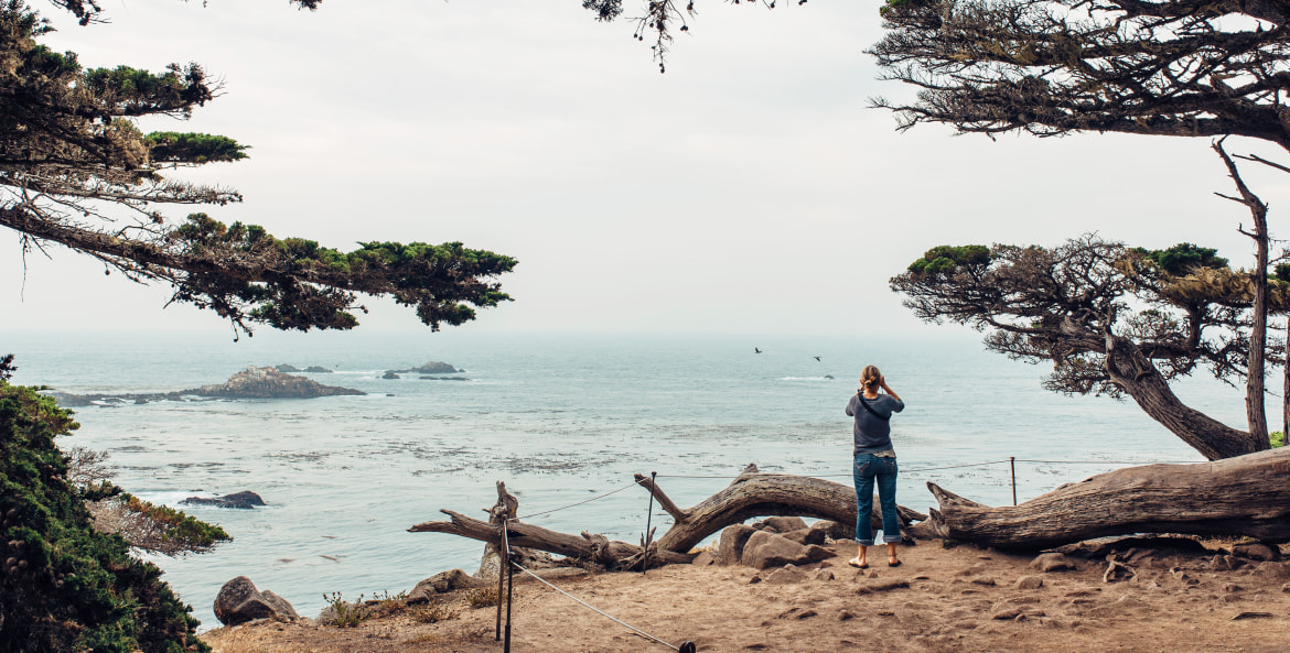 AAA Member watching birds by the ocean in Point Lobos, Monterey Bay, California