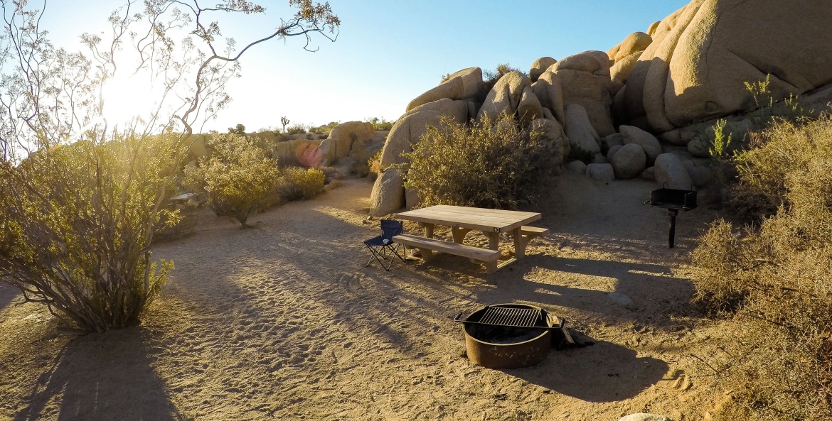 A beautiful spring day in Jumbo Rocks campground in Joshua Tree National Park.