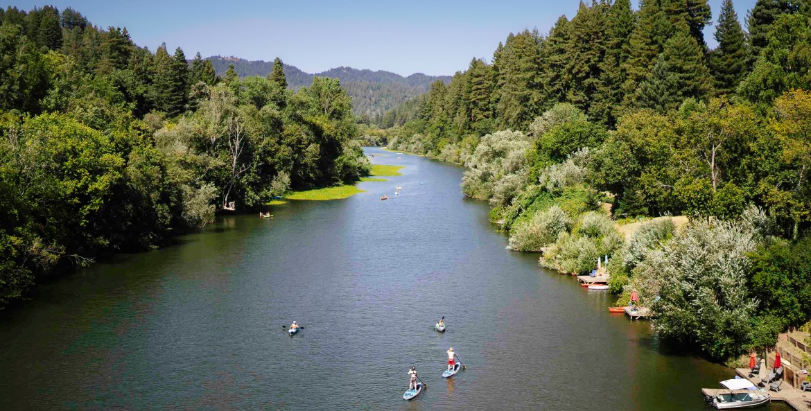 Paddle boarders on the tree-lined Russian River near Johnson's Beach.