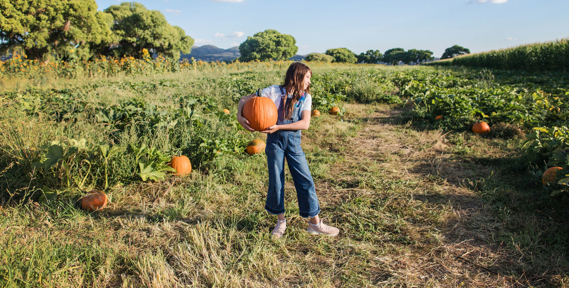 A girl holds a pumpkin she picked herself in the field at Mortimer Farms in Arizona.