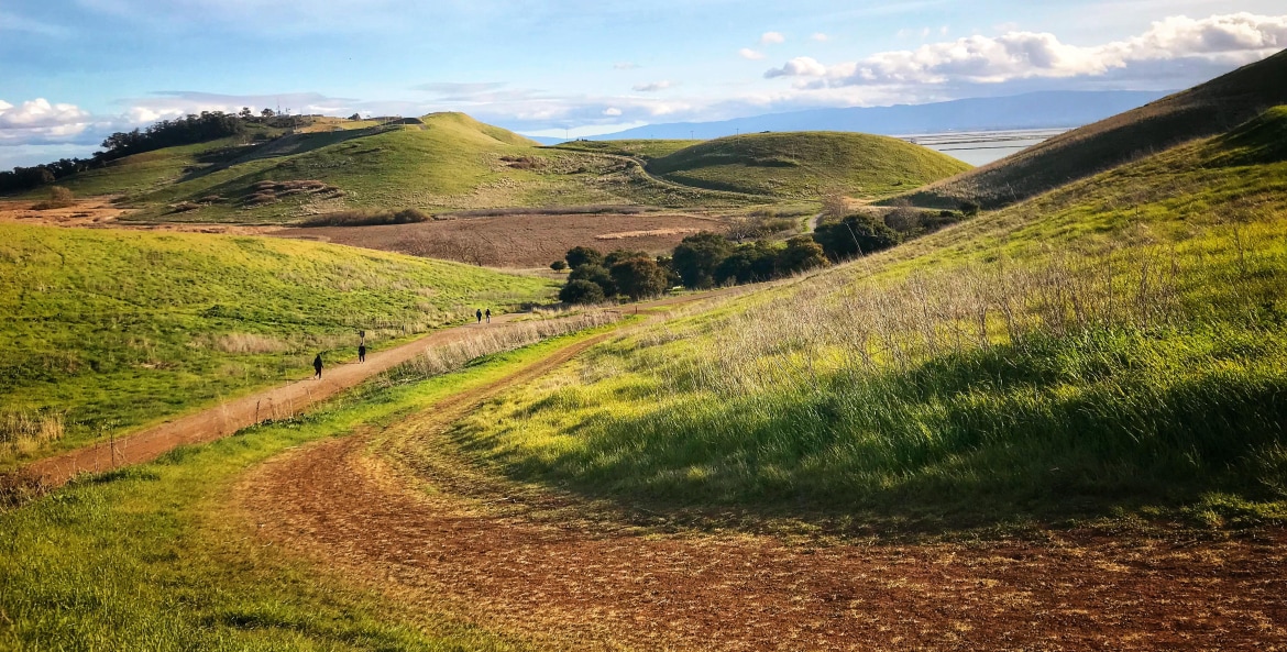 hiking trail through green grass hills in early spring, Coyote Hill, Fremont, California