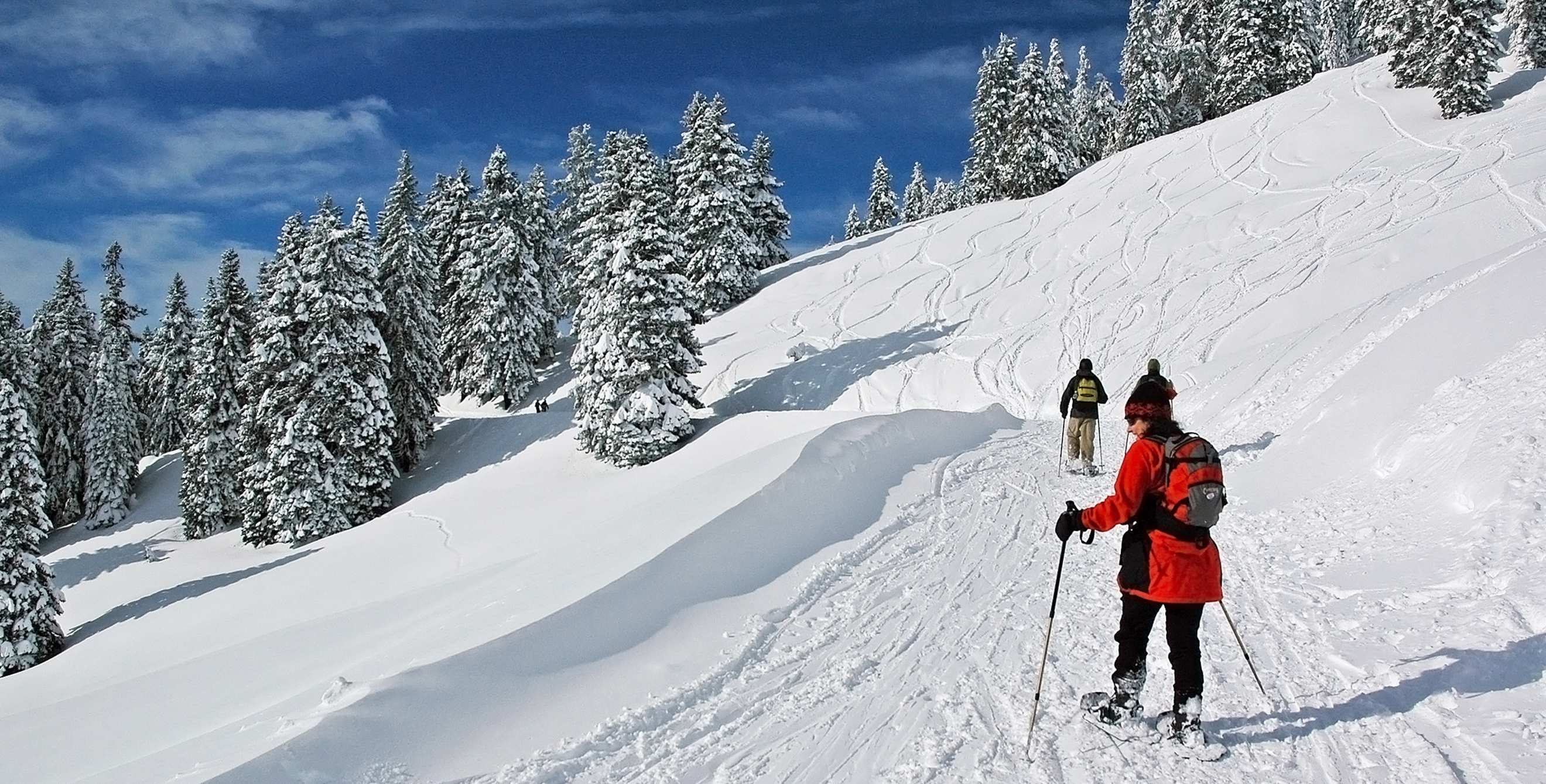 People snowshoe on a trail on Mount Ashland in the snow.