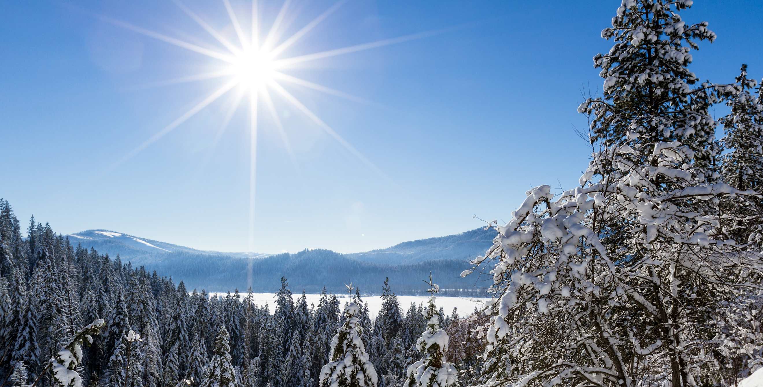 Beautiful view of the snow-covered forest opening to reveal a piece of Lake Coeur d' Alene on a sunny winter afternoon, picture