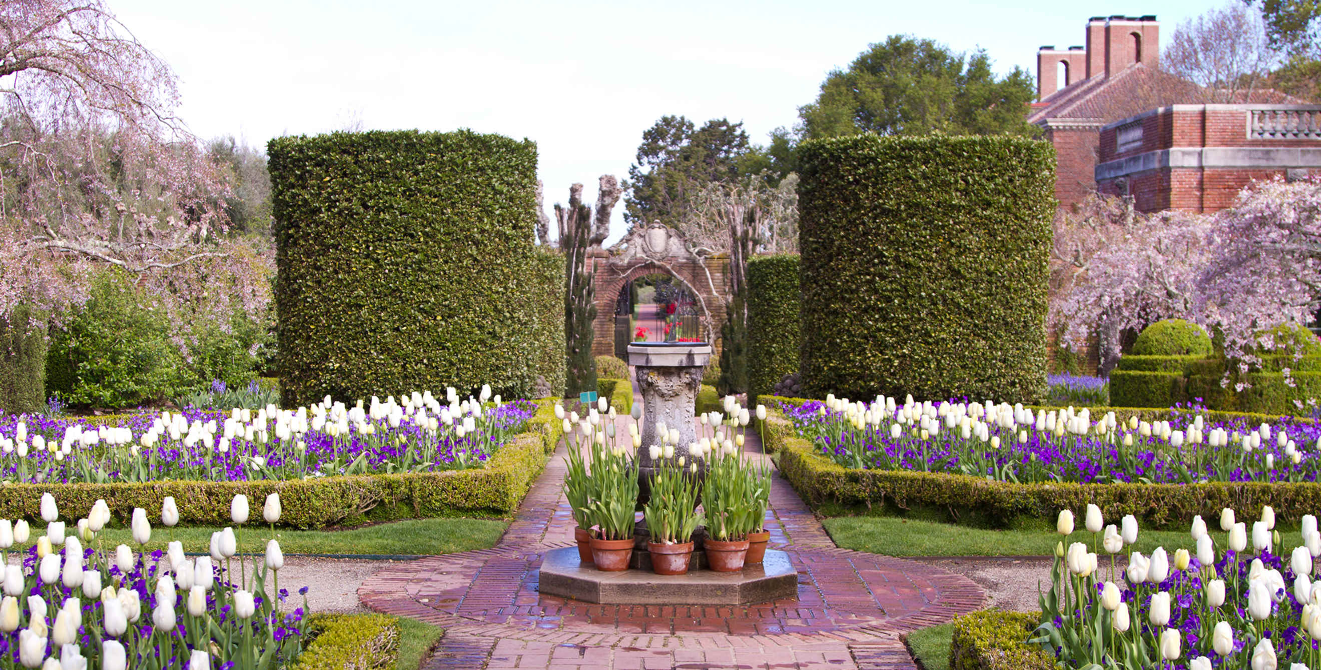 spring flowers in bloom at Filoli Gardens in Woodside, California