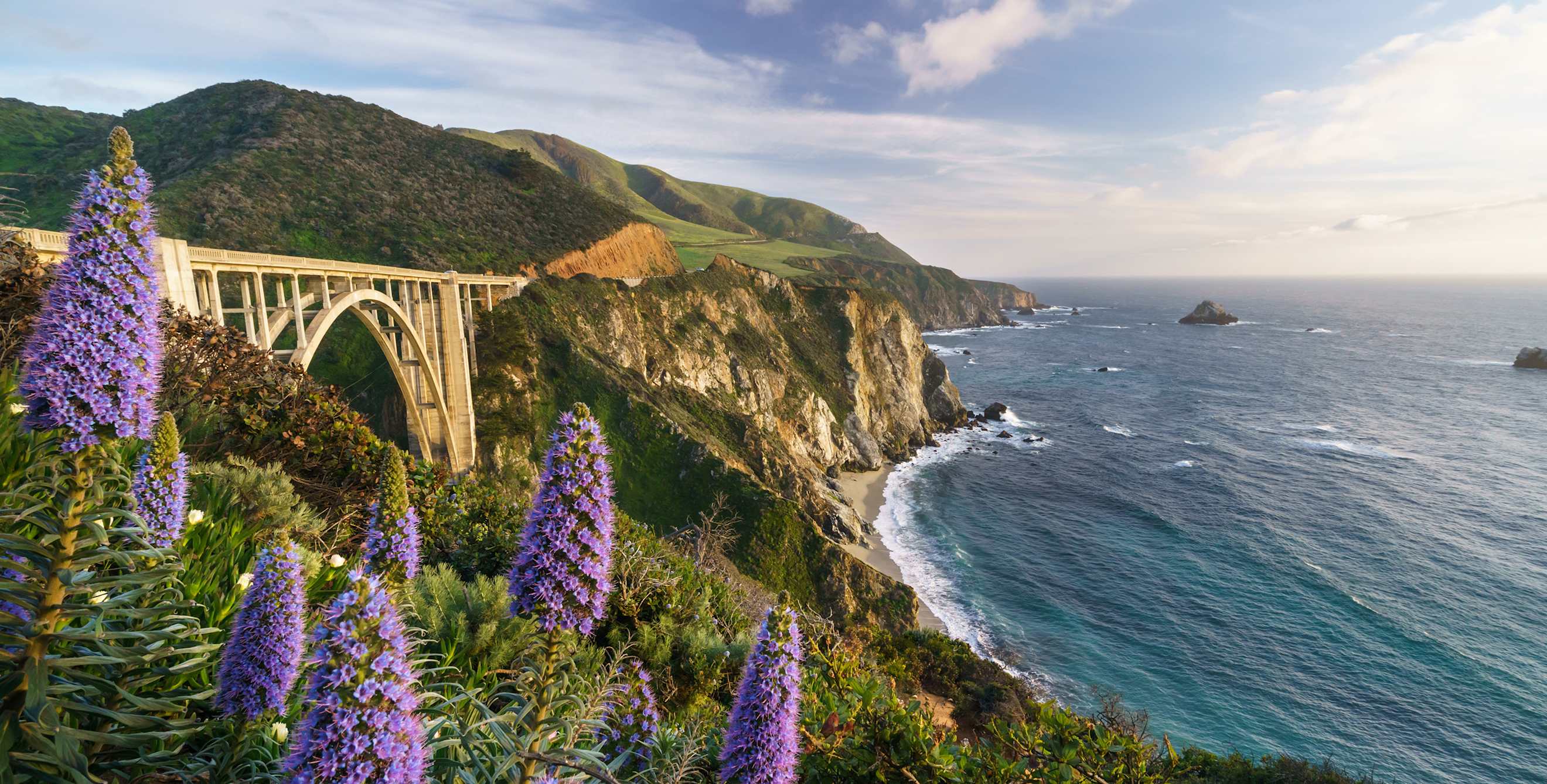 Bixby Bridge behind beautiful blooms in Big Sur, California, image