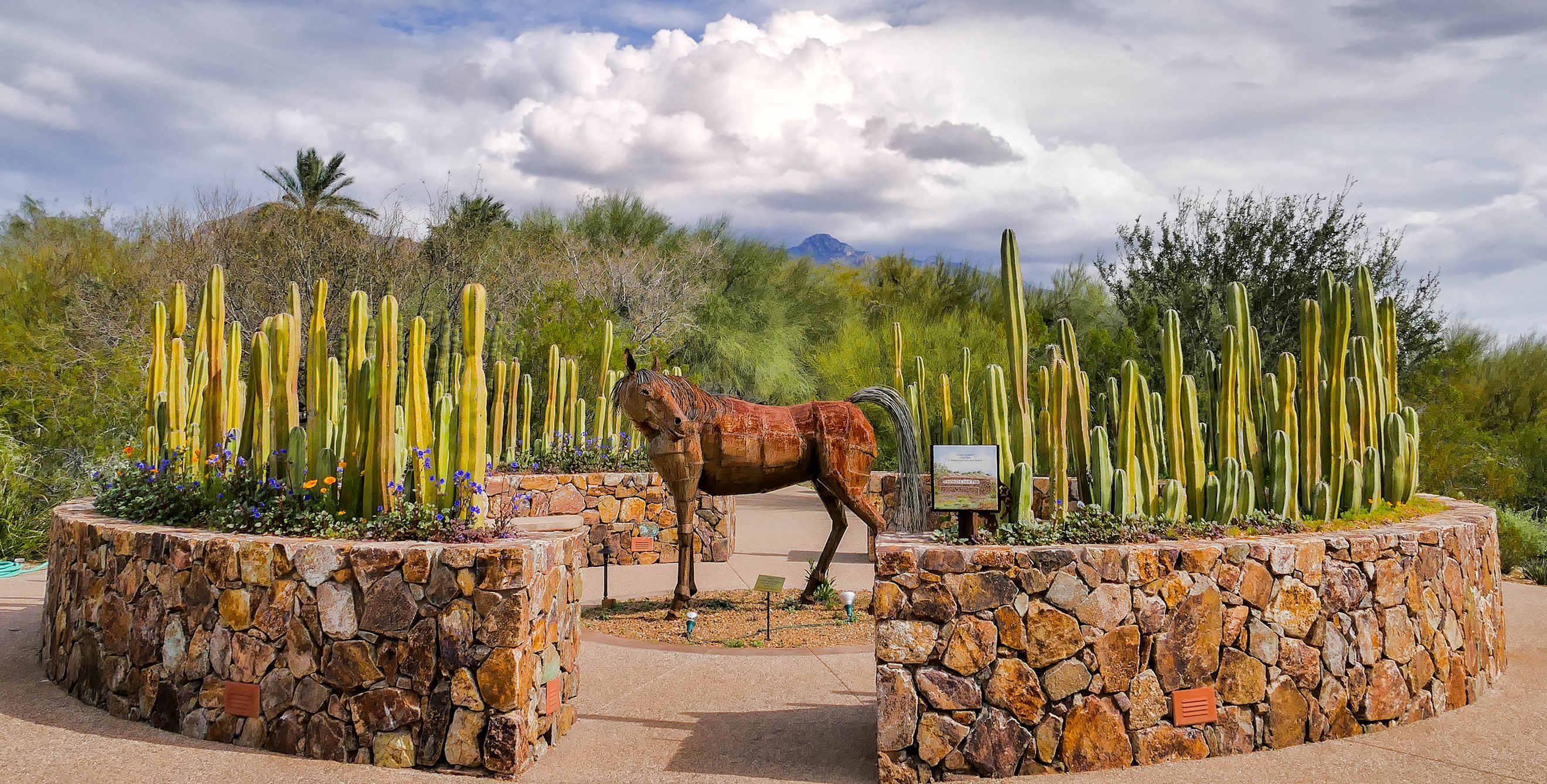 a sculpture of a horse at Tohono Chul Park in Tucson