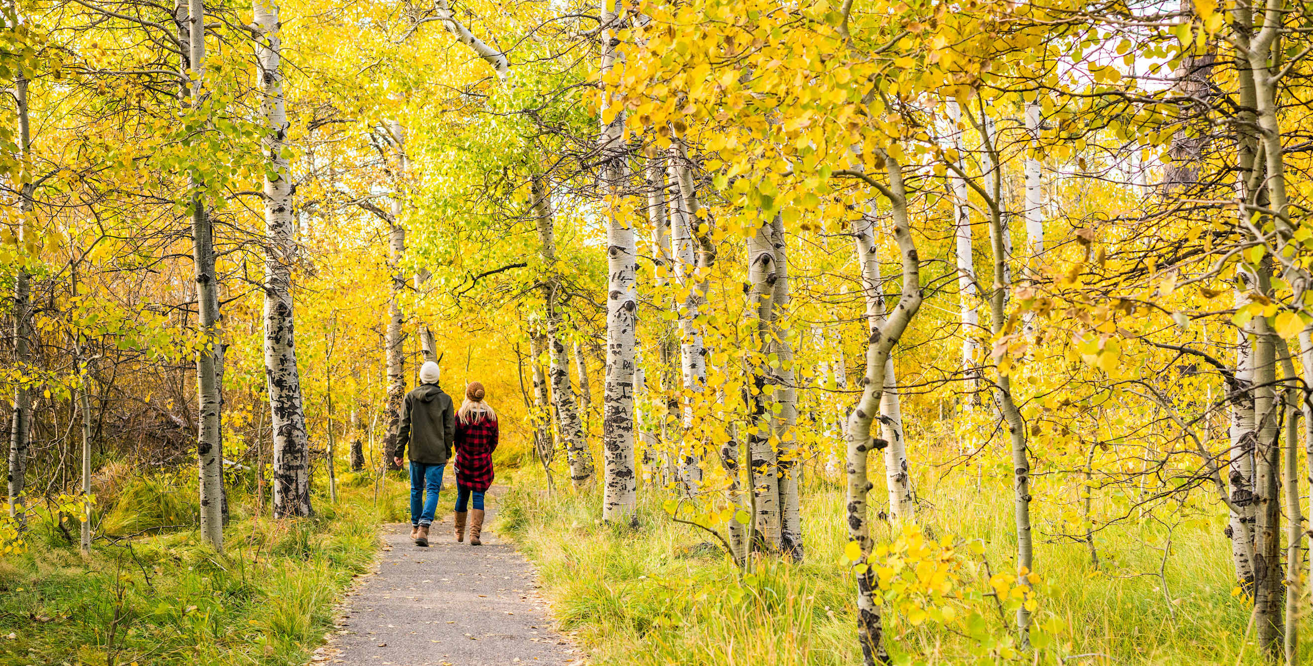A couple walks Taylor Creek Loop in South Lake Tahoe, California.