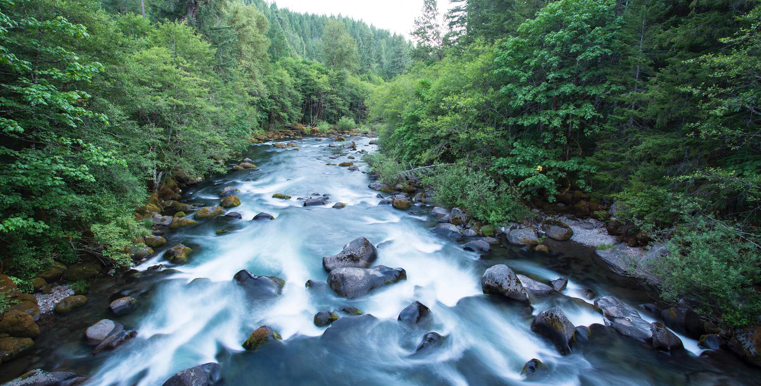 Willamette River headwaters in the Cascade Range east of Eugene, Oregon, picture