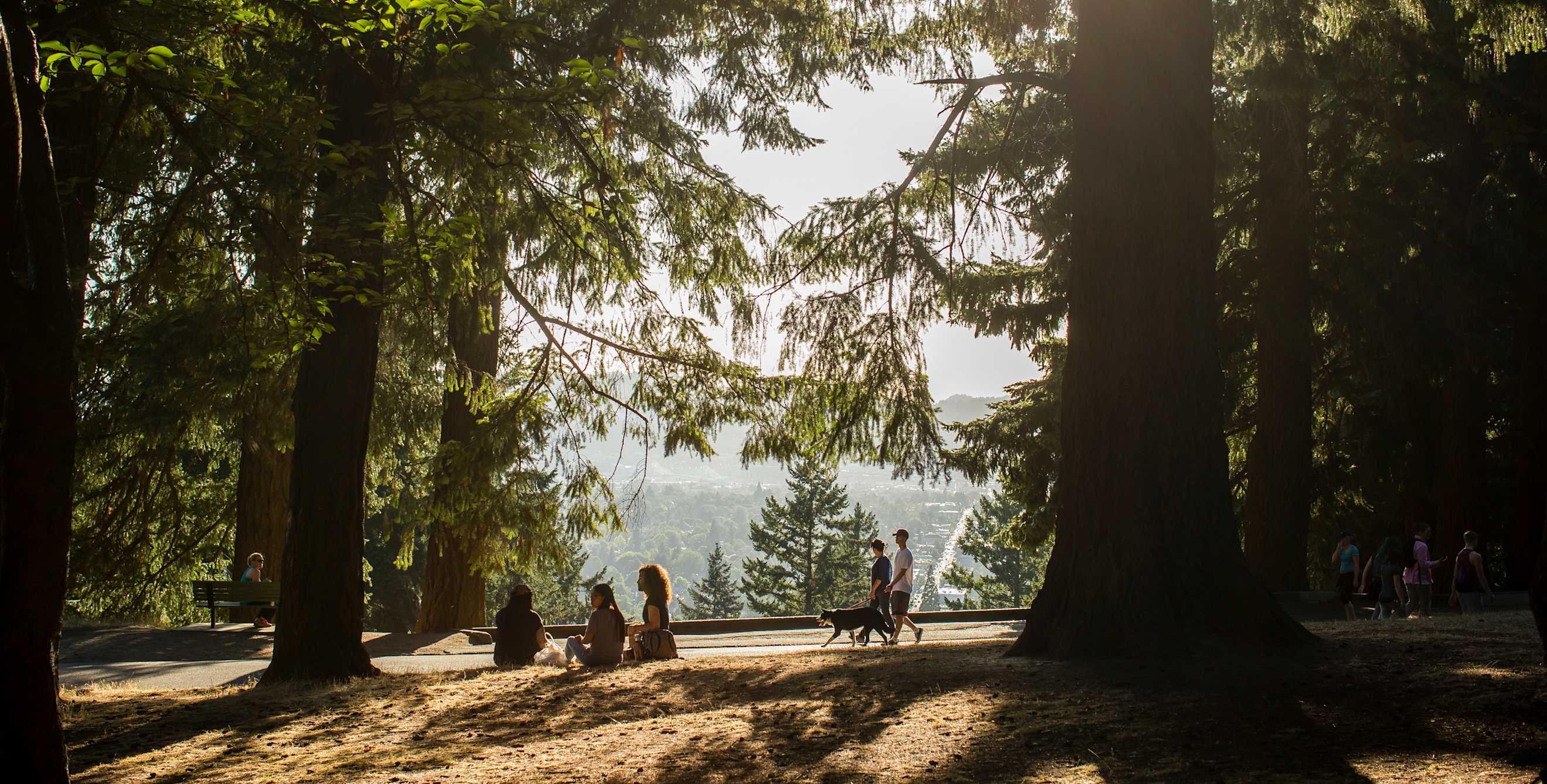 Mt. Tabor Park view of downtown Portland, picture