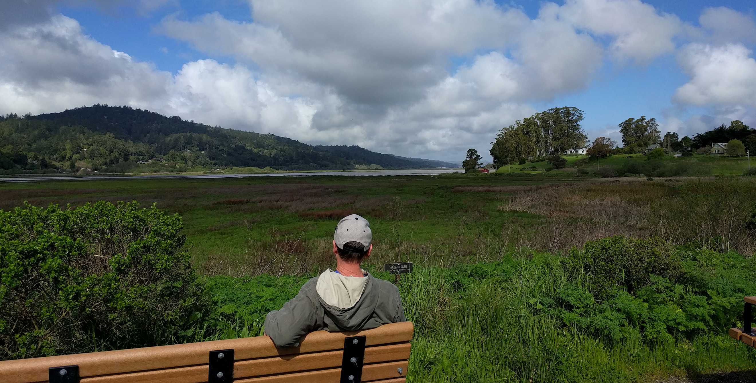 the view of Tomales Bay from the Giacomini Wetlands in West Marin, California, picture