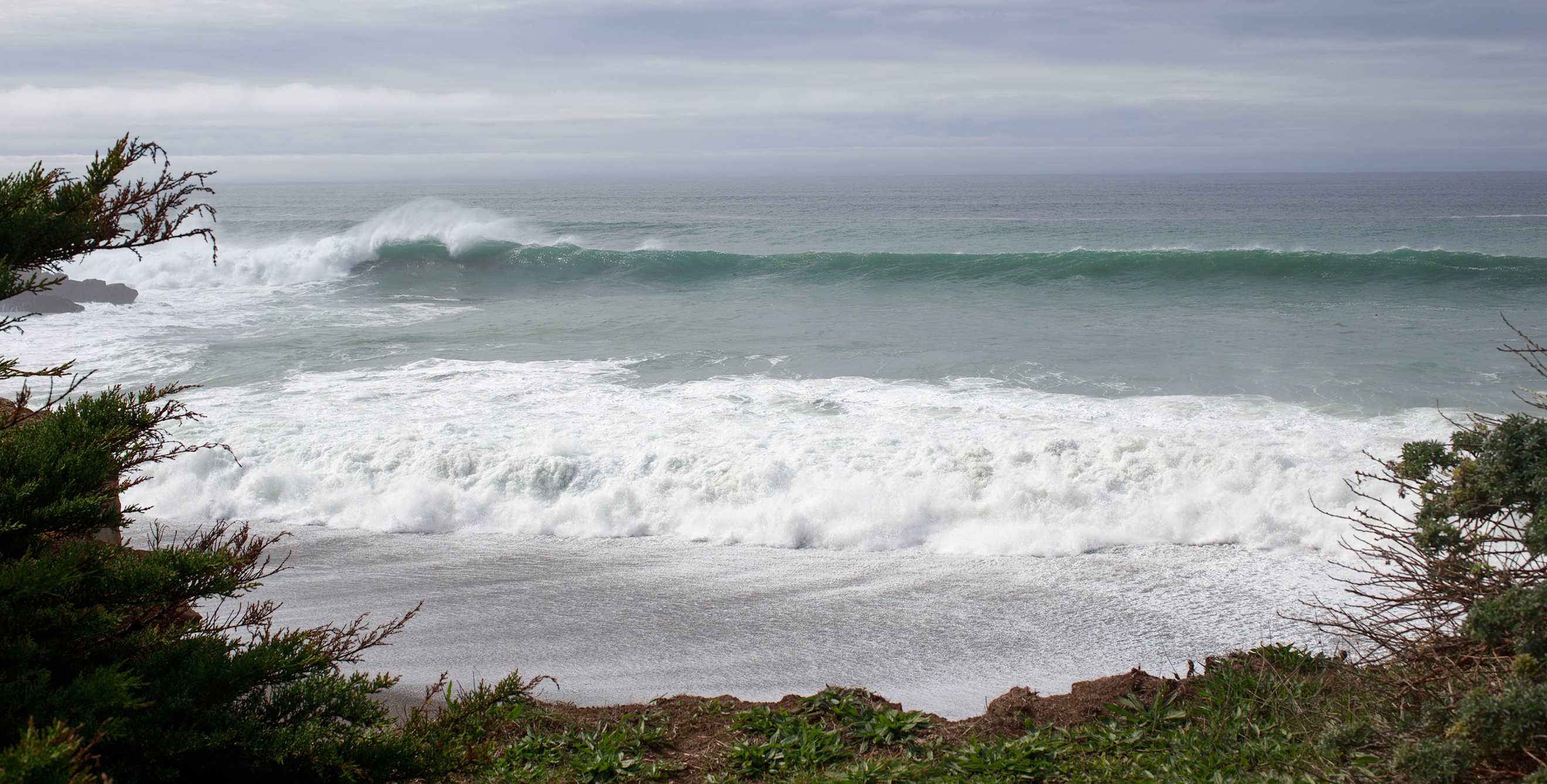 Fog rests over Gualala Point Regional Park