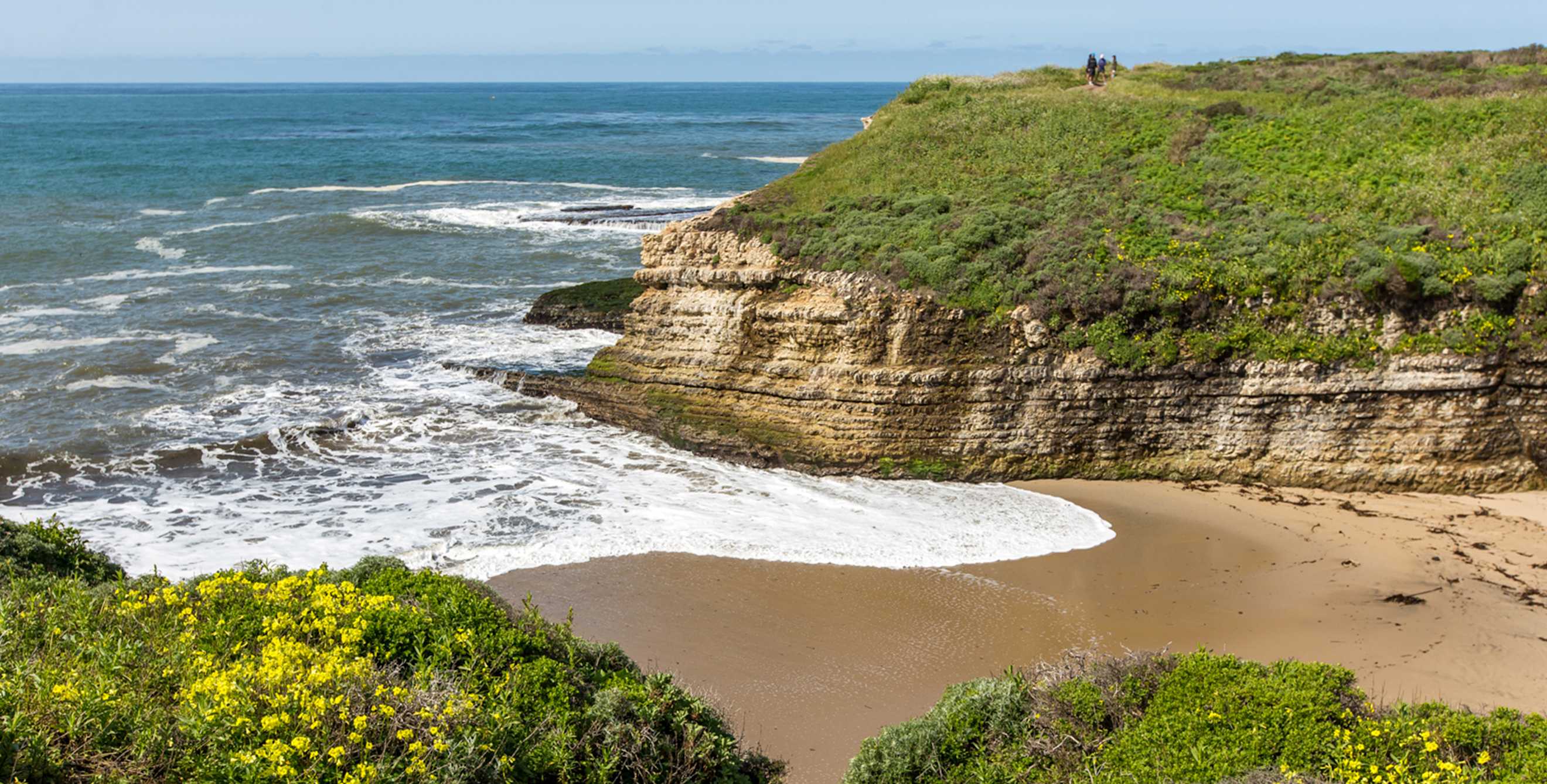 Fern Grotto Beach in Santa Cruz, picture
