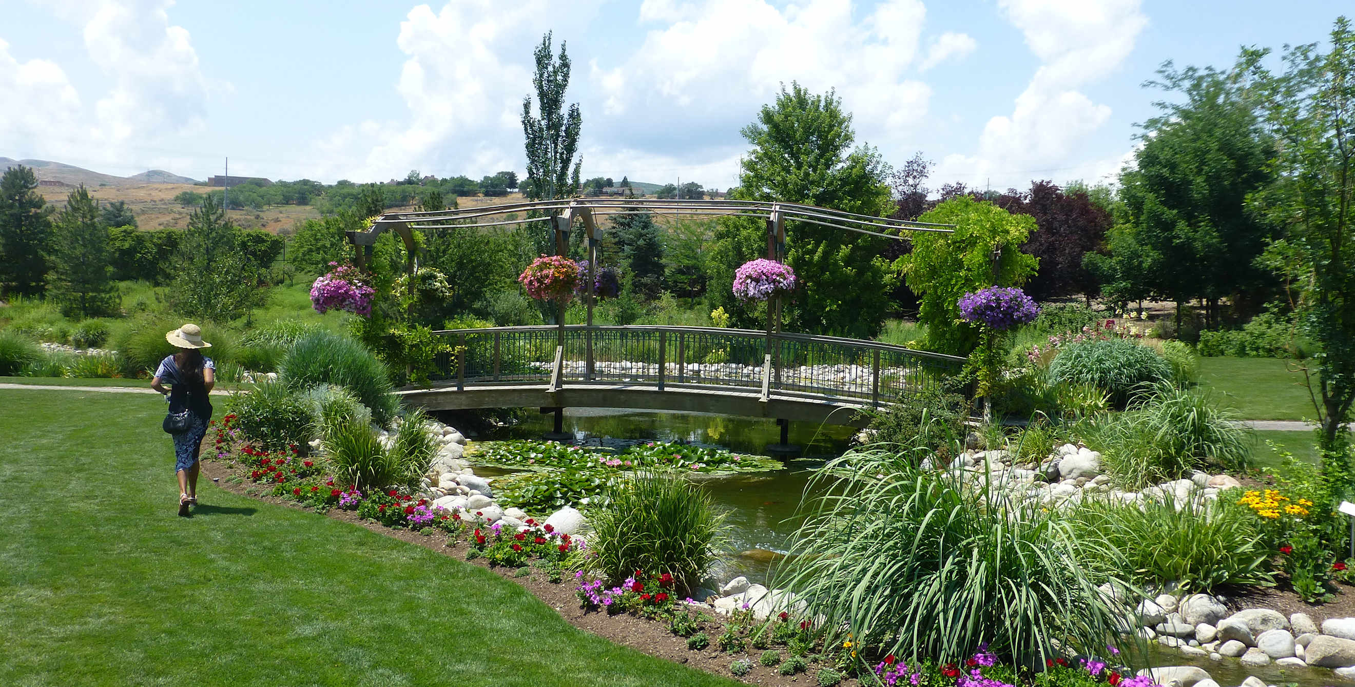 tulip beds bloom in Ashton Gardens at Thanksgiving Point in Lehi, Utah, picture