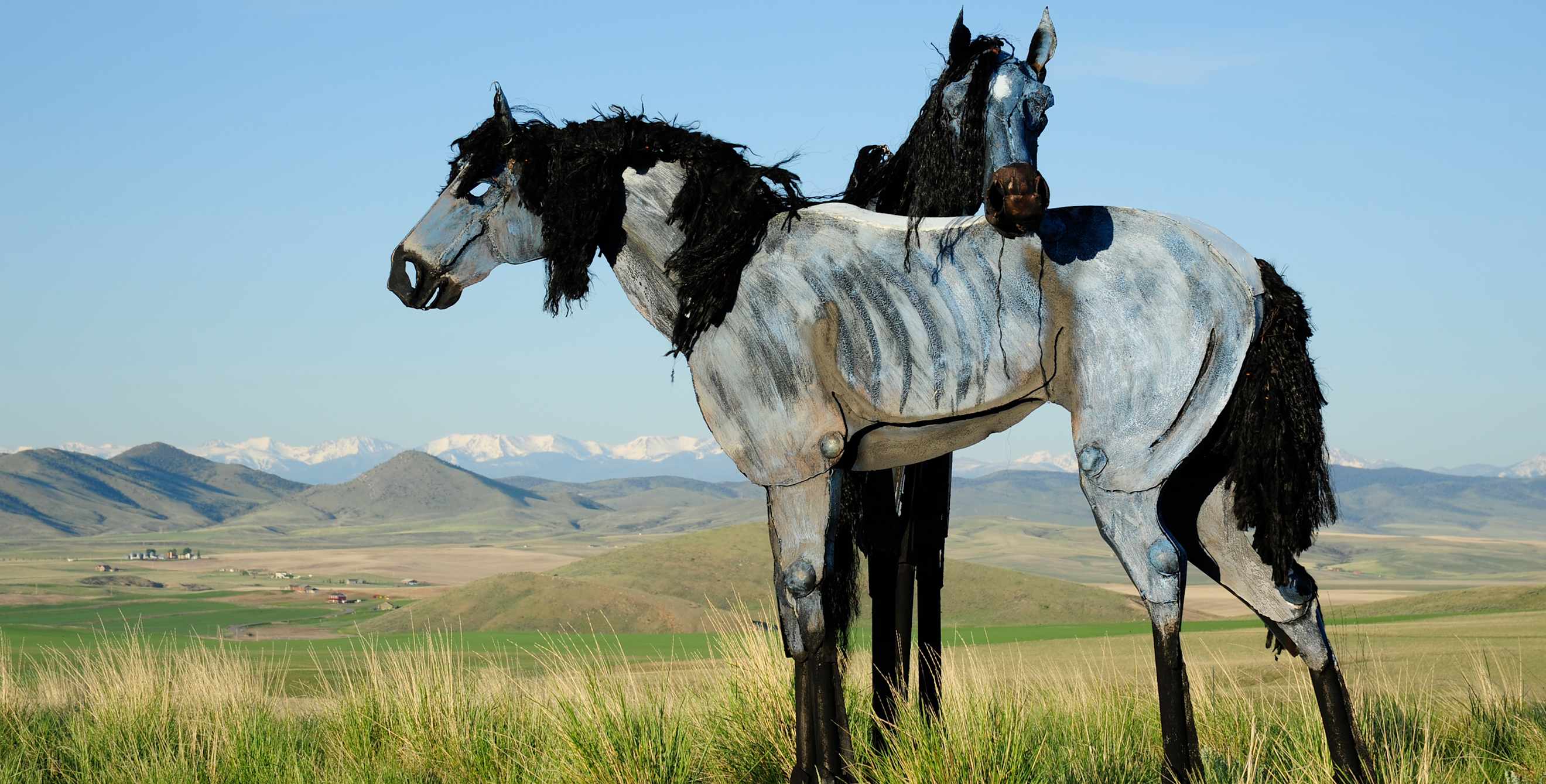 two of 39 large, metal Bleu Horse sculptures stand in a grassy prairie off Highway 287 near Three Forks, Montana
