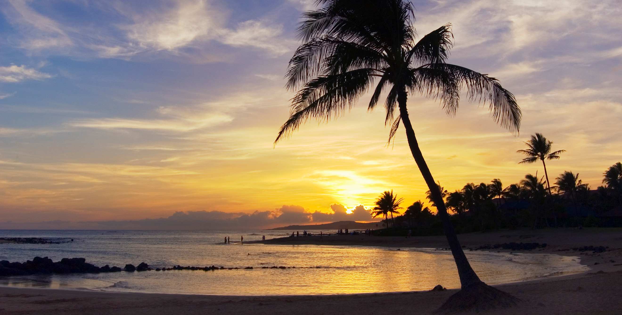 Leaning waterside palm on Kauai’s Poipu Beach by Nukumoi Point, Hawaii, picture