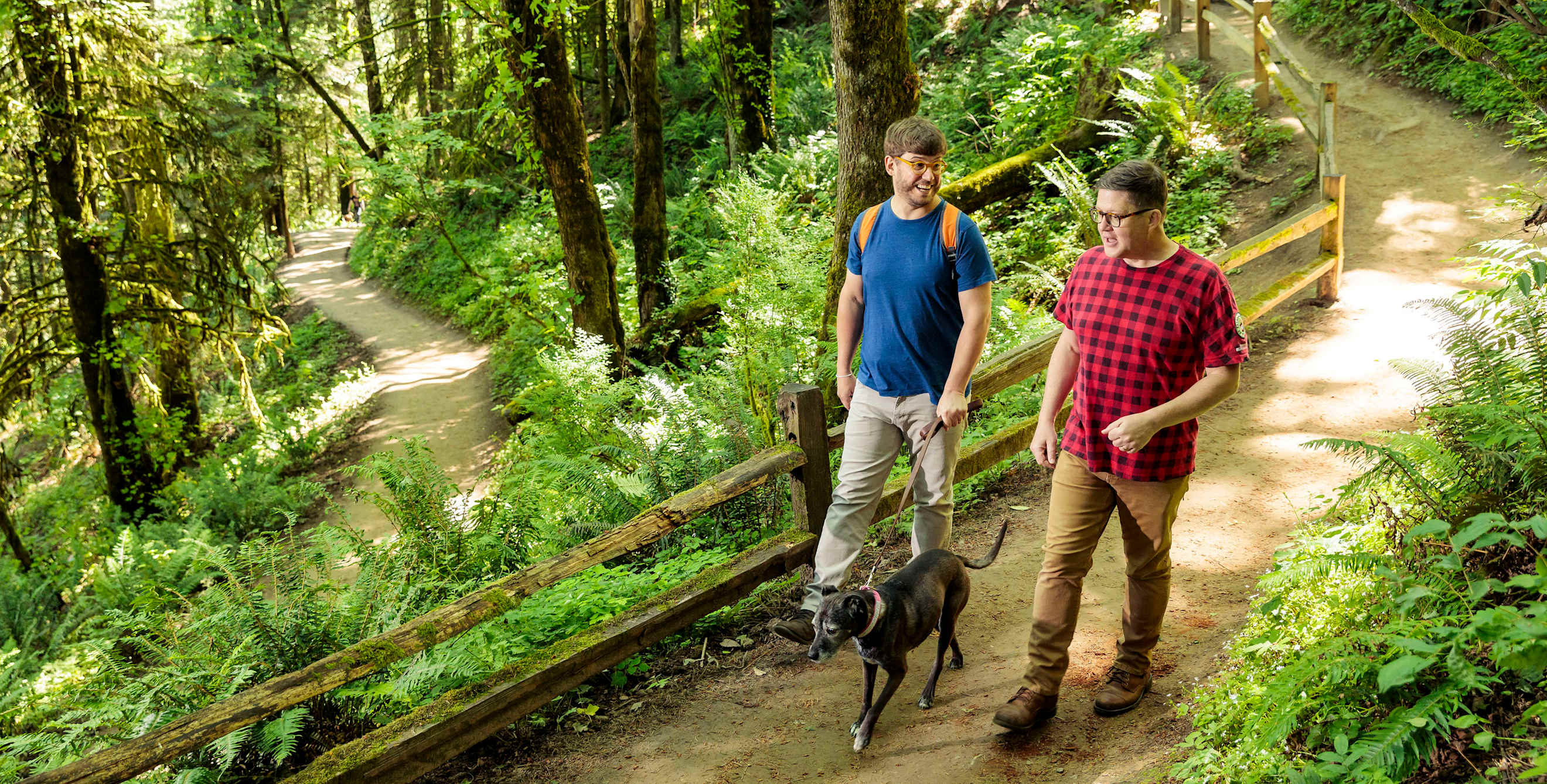 two men walk a dog on a trail in Forest Park in Portland, Oregon.