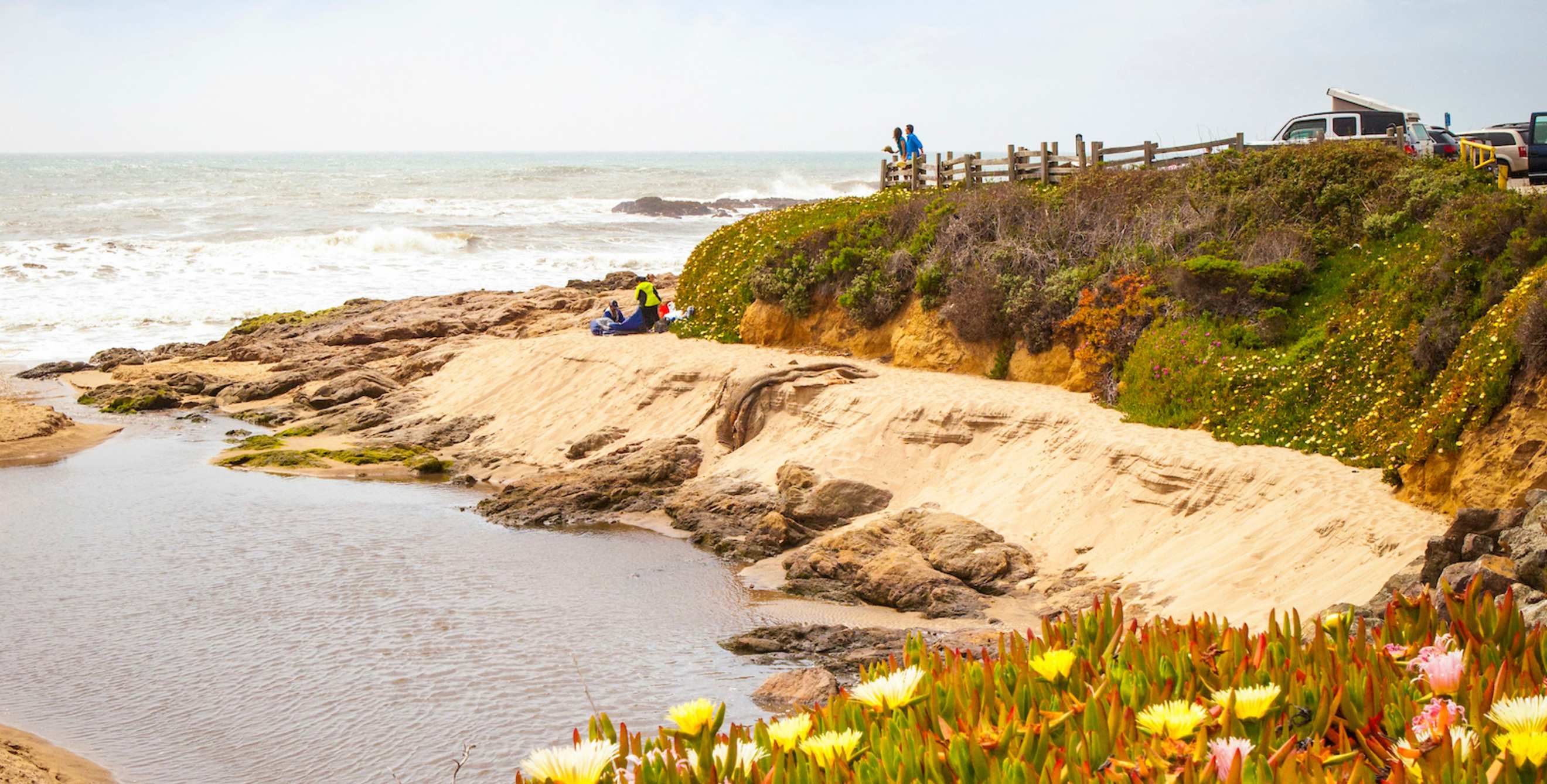 tide pools framed by iceplant in Pescadero, California