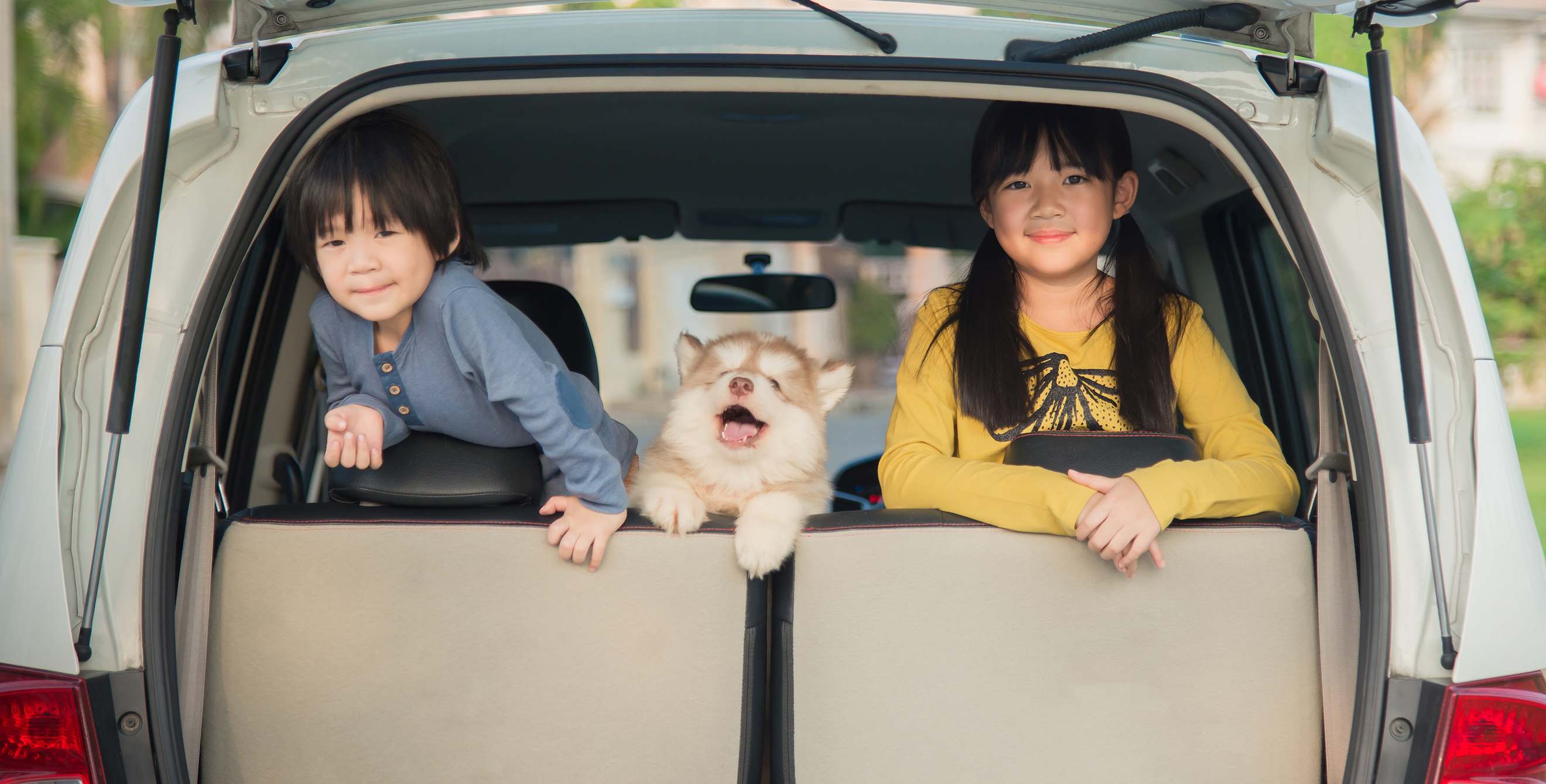 Two happy kids looking over the backseat of an SUV with a Siberian Husky puppy