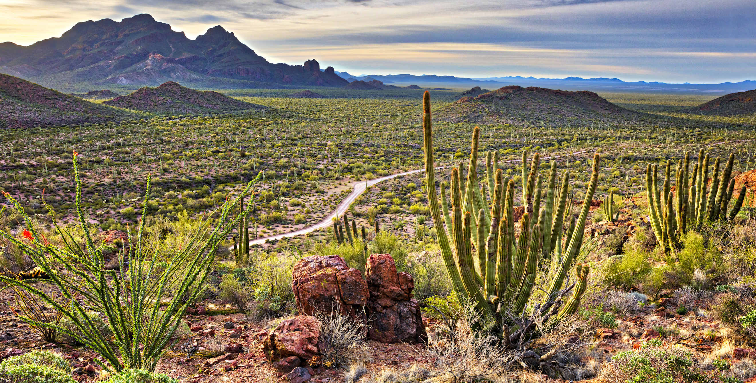 Sunrise breaks over Organ Pipe Cactus National Monument in Arizona, photo