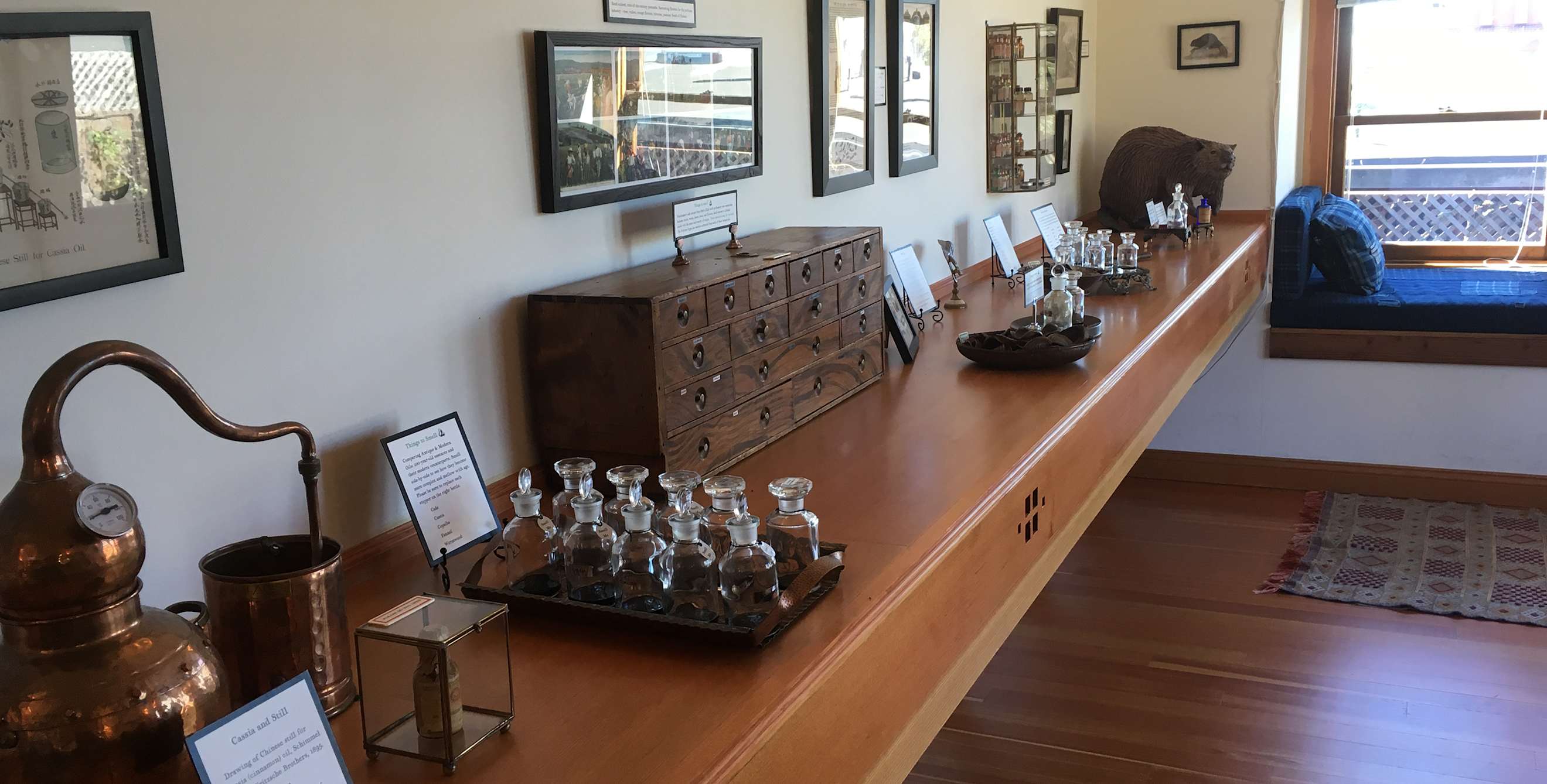 Perfume display at the Aftel Archive of Curious Scents, photo